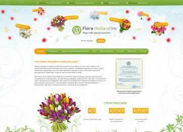 Picture of the FL Holand project HYIP template