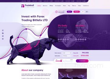 Picture of the Tradebull project HYIP template