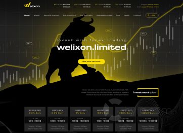 Picture of the Welixon project HYIP template