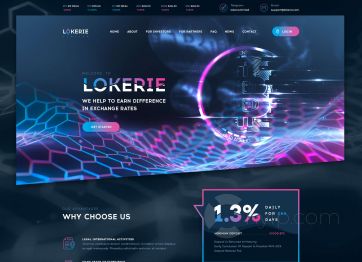 Picture of the Lokerie project HYIP template
