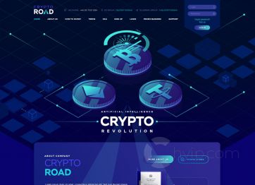 Picture of the Crypto Road project HYIP template