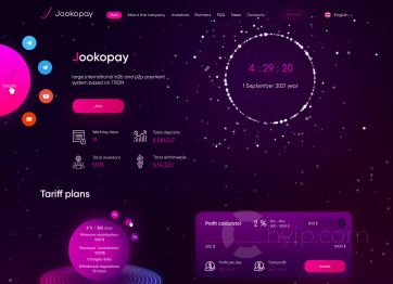 Picture of the Copypay project HYIP template