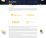 Picture of the Btcbank company project HYIP template